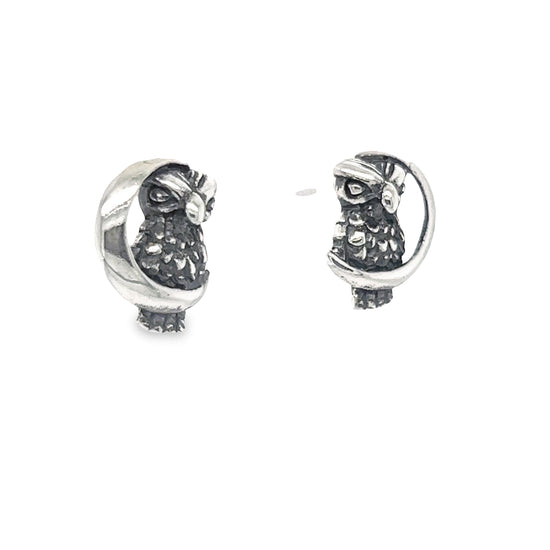 A804 Owl and Moon Post Earrings