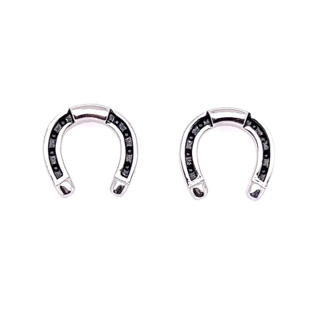 A81 Horseshoe Post Earrings