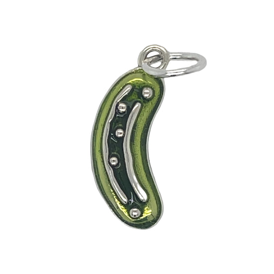 D2421 Pickle Pendant