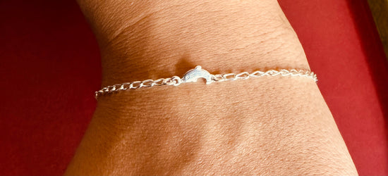 T19 Dolphin Anklet 10in