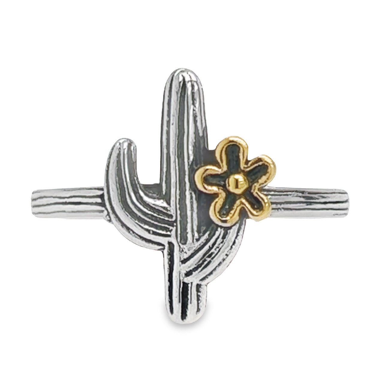 R140 Anillo Cactus