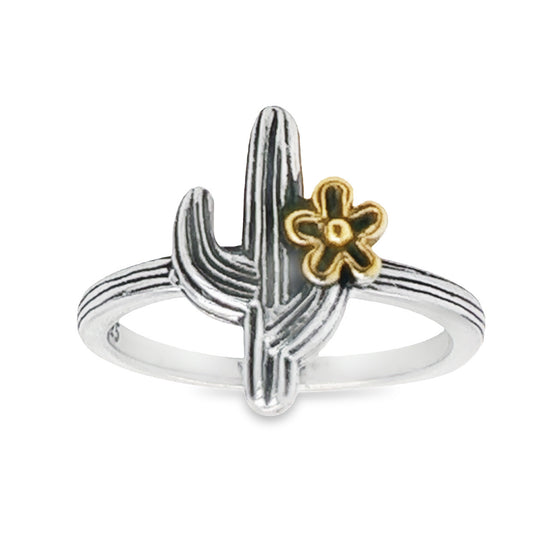 R140 Anillo Cactus