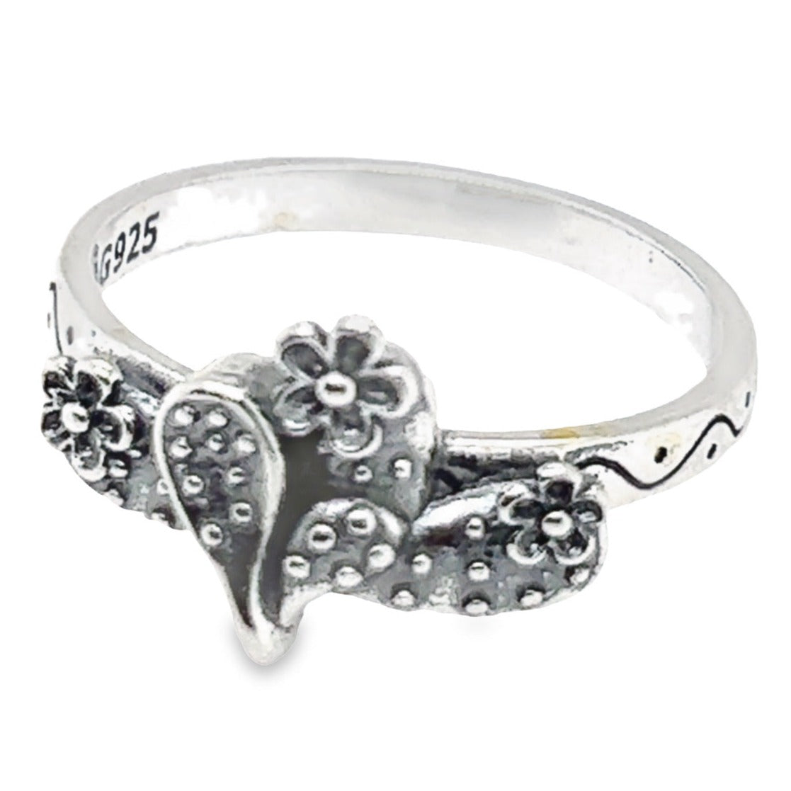 R139 Anillo Cactus