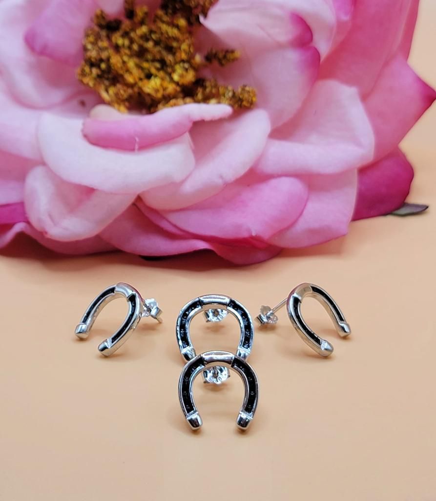 A81 Horseshoe Post Earrings