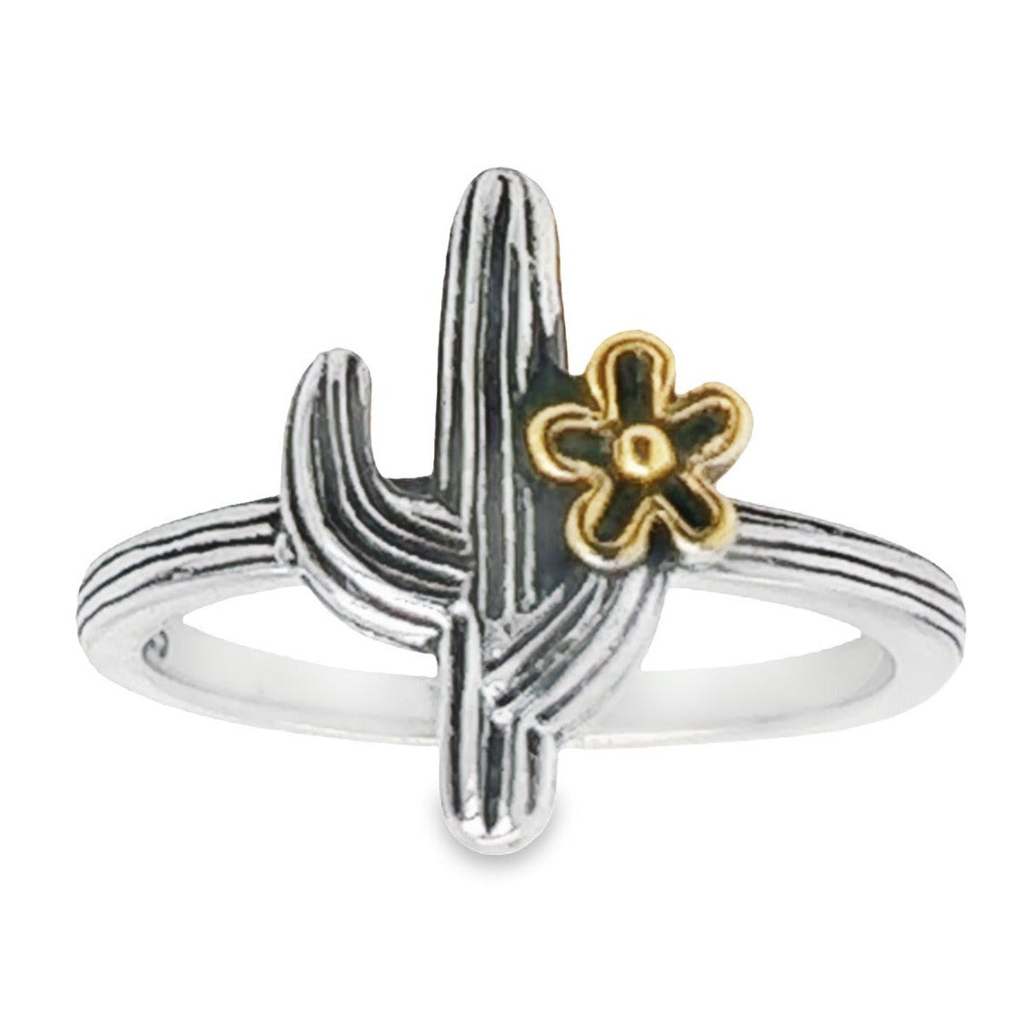 R140 Anillo Cactus