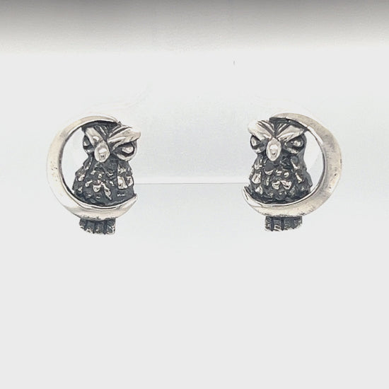 Load and play video in Gallery viewer, A804 Owl and Moon Post Earrings
