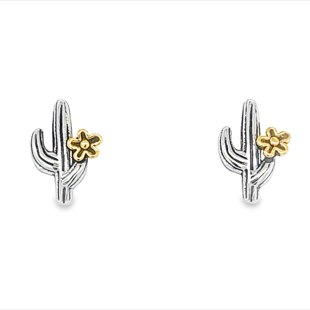 Pendientes con poste de cactus A363